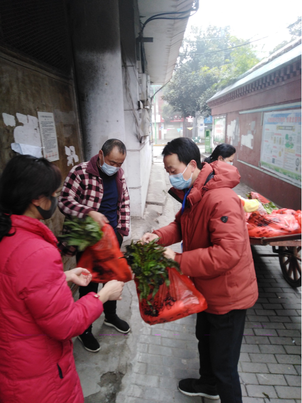 图片11.png