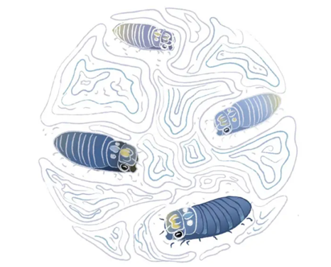 1669660650504833.png image.png