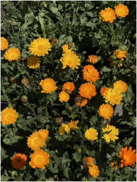 1669660674130732.png image.png