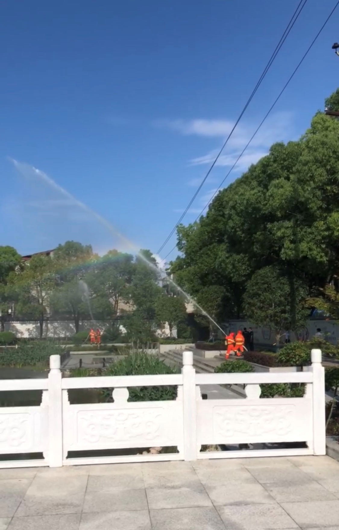 1734320594385789.jpg 2.jpg